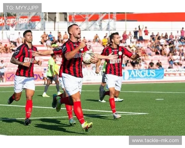 波兰外籍球员闪耀赛场，助力球队取得关键胜利